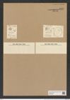 Actinoptychus parda Castr. (de-Toni-Nr.: Genus 227, Species 5629) Zeichnungen Sammlung Grunow Nr. 9515 (NHMW-BOT-W0379502)